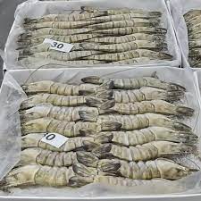 Tôm sú nguyên con đông lạnh 30 con